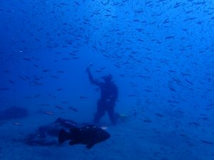 diving in el veril