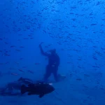 Veril Grande dive site, Jandía, South Fuerteventura
